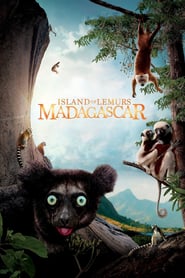 Island-of-Lemurs-Madagascar-2014